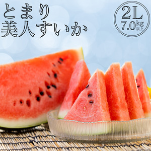 スイカ 2L 7kg とまり 美人 西瓜 | 18M