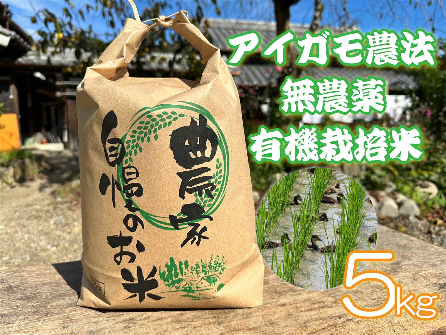 【ふるさと納税】アイガモ農法で栽培した無農薬・有機栽培米5kg 無農薬 有機栽培 あいがも 合鴨 お米 精米 こしひかり 兵庫県 多可町 ひのきもとさん [800]