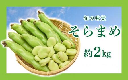 旬の味覚 そらまめ 約2kg【2024年5月上旬～2024年6月上旬配送】【T006-214】