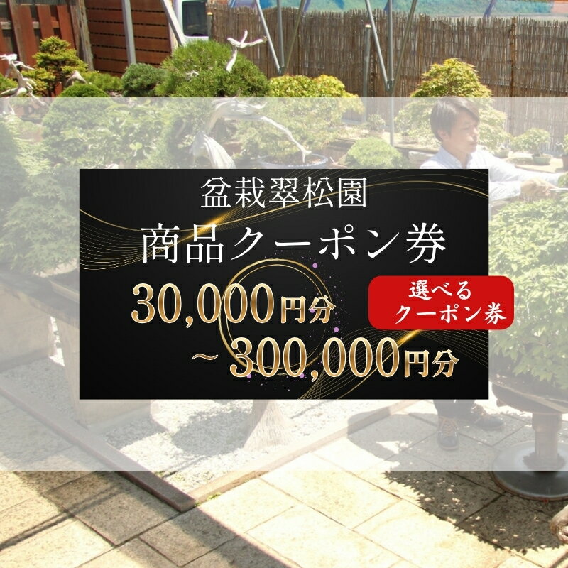 【ふるさと納税】盆栽 翠松園 商品クーポン券 30,000円～300,000円分 植物 観葉植物 園芸 商品券 割引券 兵庫県