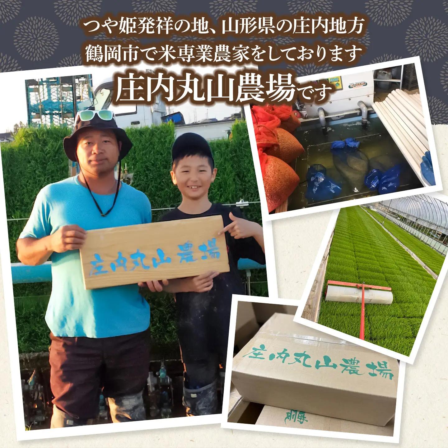 【令和7年産】にじのきらめき 精米 5kg　山形県鶴岡市　庄内丸山農場　| 5キロ 米どころ 庄内米 ブランド米 米 コメ こめ 精米 ご飯 ごはん 美味しい 大粒 お取り寄せ 農家直送 お弁当 おに