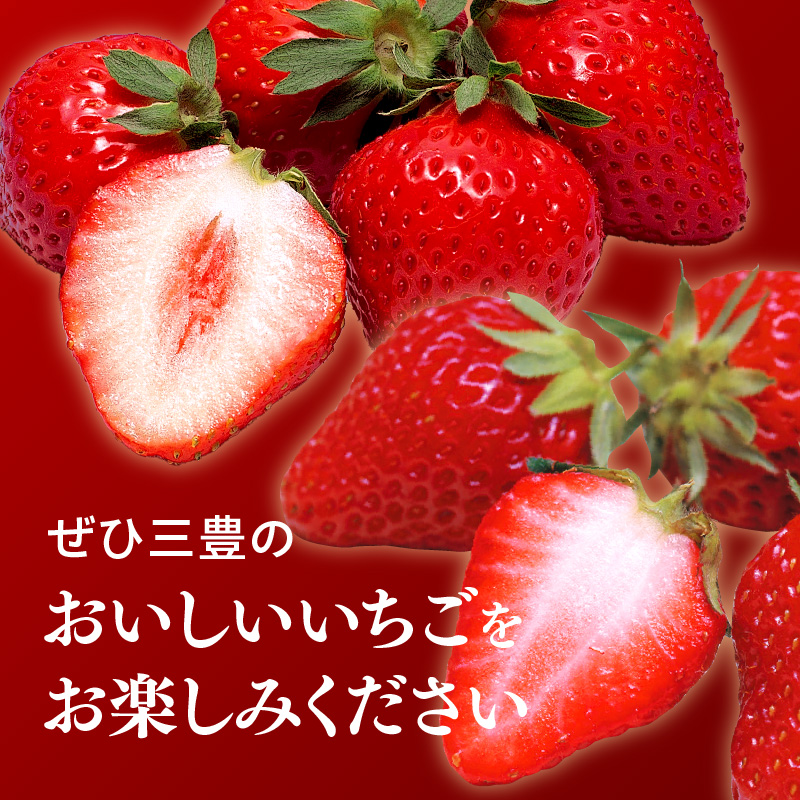 M02-0150_【ふるさと納税】 フルーツ デザート 果物 果実 さぬきひめ 女峰 年内発送 三豊 いちご 食べ比べ セット 約2kg 250g 4パック ギフト お土産 フルーツ王国  香川県 三