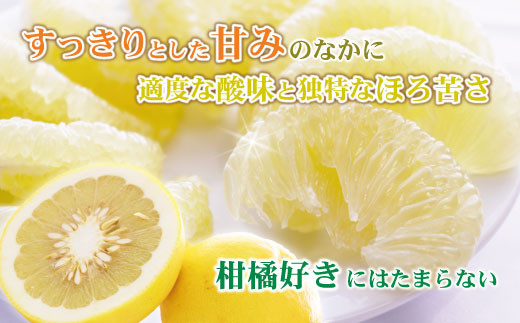 【先行予約】【訳あり】土佐文旦（ぶんたん）家庭用（M～5L）約3kg 〈2027年2月中旬～発送〉 文旦 3キロ 土佐文旦発祥の地 産地直送 約4～10玉 大玉 ぶんたん 訳あり【株式会社とさもん】 [BQAE043]