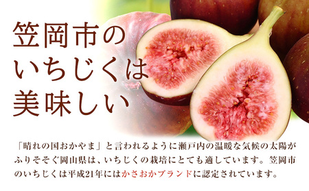 いちじくフレンチドレッシング 300g 3本　ドレッシング