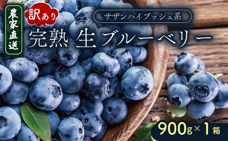 
            訳あり 完熟生ブルーベリー（サザンハイブッシュ系）900g | 2026年発送 早期予約 ブルーベリー ベリー フルーツ 果物 くだもの 産地直送 期間限定 数量限定 わけあり 訳アリ 生 旬 季節限定 高知県 南国市
          