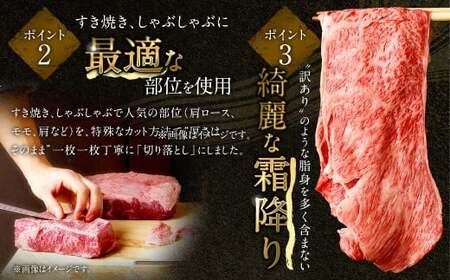 【食べ比べ】 佐賀牛 ＆ 博多和牛 リッチな霜降り 大判 切り落とし 1kg （500g×2）【12月発送】 ／ 2種類 黒毛和牛 和牛 牛肉 お肉 肉 霜降り 九州 福岡県 太宰府市 冷凍