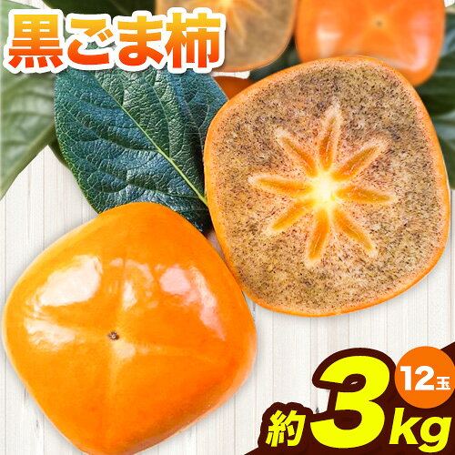 【ふるさと納税】黒ごま柿 約3kg(12玉) Cog-Lab《10月上旬-11月上旬頃出荷》 柿 かき カキ フルーツ 果物 スイーツ 送料無料