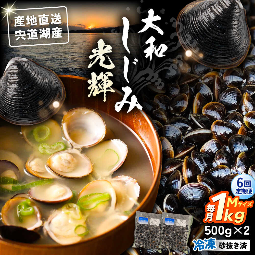 【ふるさと納税】【全6回定期便】産地直送！宍道湖産 冷凍大和しじみMサイズ1kg(500g×2) 砂抜き処理済 島根県松江市/りすたむmatsue[ALDE020]