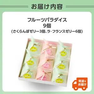 御菓子処蝶谷　フルーツパラダイス　9ヶ入・化粧箱 007-008
