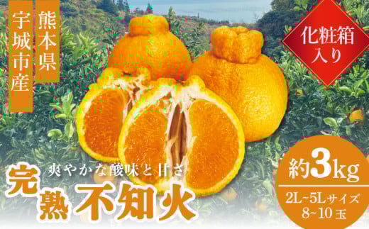 先行予約 不知火 完熟不知火(化粧箱入り) 約3kg 髙橋果樹園【2026年2月上旬から3月下旬発送予定】不知火 柑橘 かんきつ 宇城市産
