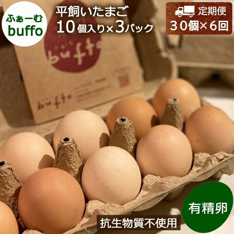 【ふるさと納税】『定期便』全6回 卵 平飼い 30個 ふぁーむbuffo 毎月届く定期便