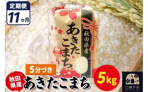 《定期便11ヶ月》あきたこまち 5kg【5分づき】令和7年産 秋田県産 こまちライン [こまちライン あきたこまち ブランド米 お米 5分搗き 5分づき 米どころ 秋田 秋田県産]