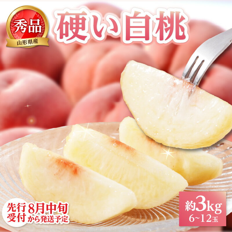 【ふるさと納税】《先行受付》★硬い白桃（品種おまかせ）★約3kg(6～12玉程度)秀品【2026年8月中旬頃～順次発送予定】 山形県 大江町 白桃 3キロ おどろき 美晴 硬い白桃 シャキシャキ 甘い ご褒美 フルーツ 果物 秀品