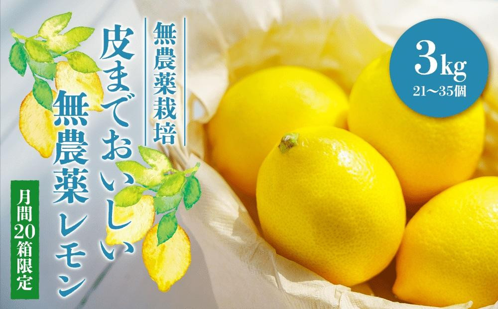 
【20箱限定】皮まで美味しい無農薬レモン 約3kg
