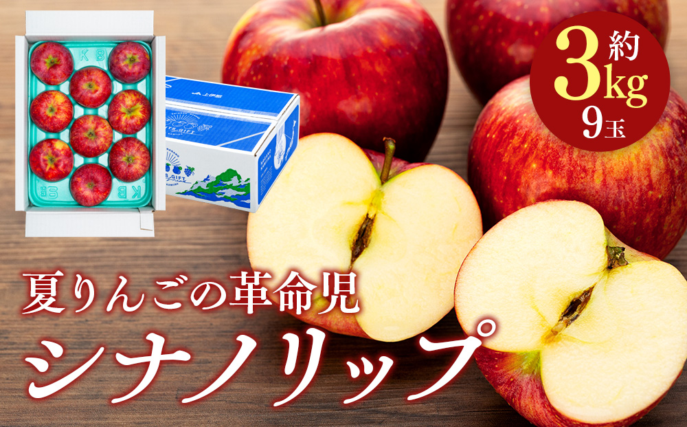 シナノリップ　約3kg（9玉）