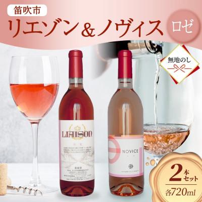 ふるさと納税 笛吹市 【無地熨斗】ロゼワイン 2種 セット 720ml 各1本 計2本 日川中央葡萄酒 山梨県笛吹市