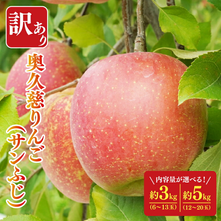 【ふるさと納税】【先行予約】【訳あり】樹上完熟の奥久慈りんご「サンふじ」約3kg（6～14玉）or 約5kg（12～23玉）【2025年11月上旬頃より順次発送予定】不揃い 規格外 傷あり 色むら 家庭用｜斉藤りんご園第2直売所 茨城県 大子町 林檎 果物 フルーツ 旬（CG010-1）