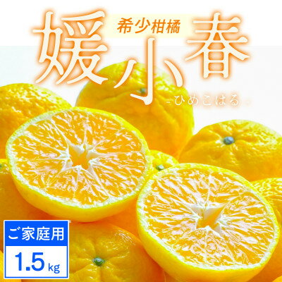 【ふるさと納税】【ご家庭用】媛小春 1.5kg みかん 愛媛県八幡浜市 西宇和地区 希少な幻の柑橘【C25-358】【1715667】