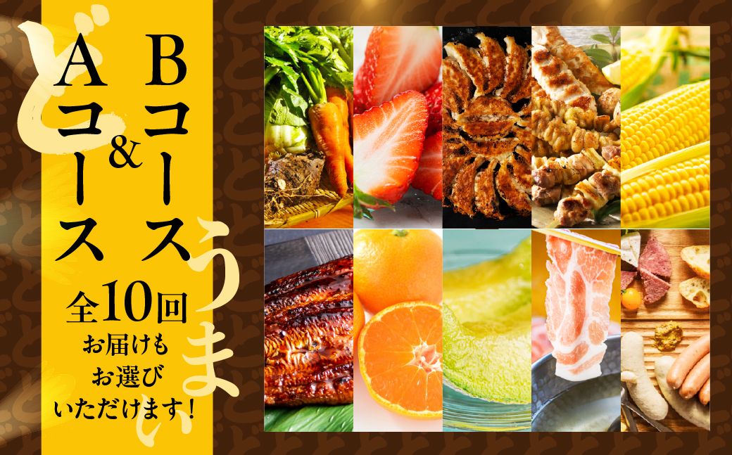 渥美半島の恵み どうまい 定期便 全10回（ 野菜 セット いちご 餃子 焼き鳥 うなぎ とうもろこし みかん メロン 豚肉 ハム ソーセージ ) 青うなぎ 名古屋コーチン マスクメロン ご当地 人気