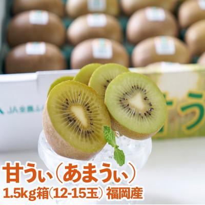 ふるさと納税 東峰村 福岡県産ブランドキウイ「甘うぃ」約1.5kg(12-15玉)(東峰村)