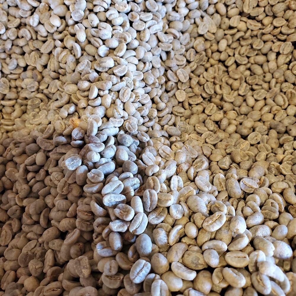 「豆」北海道旭川焙煎　ワイズコーヒー西神楽工場直送　厳選100g×10袋　豆_01558