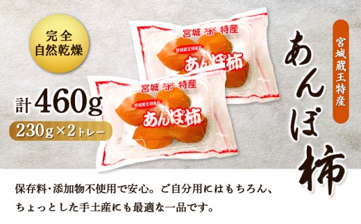 ＜★先行予約★＞2026年12月22日より順次発送 宮城蔵王特産 あんぽ柿（230g×2トレー）