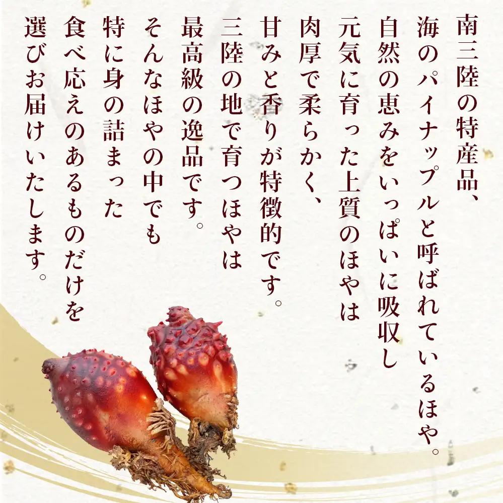 ほや尽くし お試し 5点セット ほや 塩辛 お刺身ほや へそほや 殻付き蒸しほや 蒸しへそほや