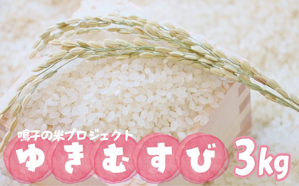 
                  鳴子の米プロジェクト ゆきむすび 3kg【2025年産】 精米 ｜宮城県大崎市鳴子温泉産米
                