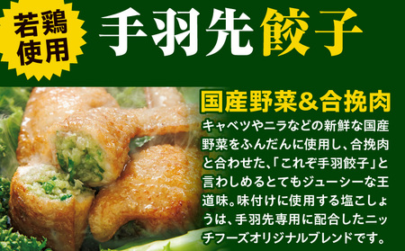 手羽先餃子30本入り 餃子 ぎょうざ 手羽餃子 手羽先餃子 おススメ おかず お惣菜 惣菜 お取り寄せ グルメ 名物 手羽