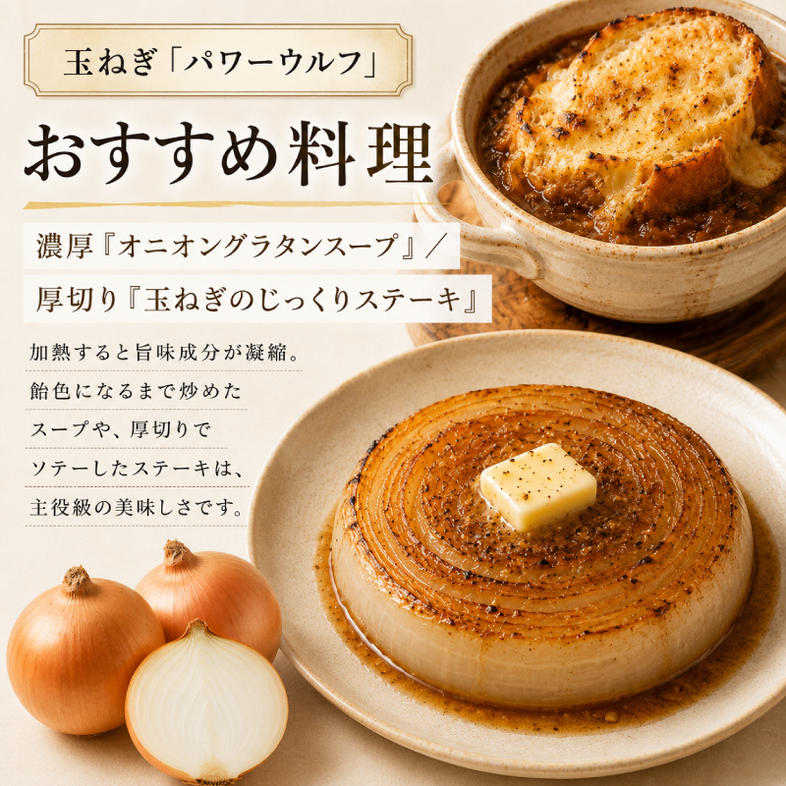 小笠原農園の有機野菜 2種詰合せ（アロマレッド4kg・玉ねぎ4kg）北海道 十勝 幕別《2026年秋出荷先行予約》【 野菜 にんじん 人参 たまねぎ セット 野菜セット 】