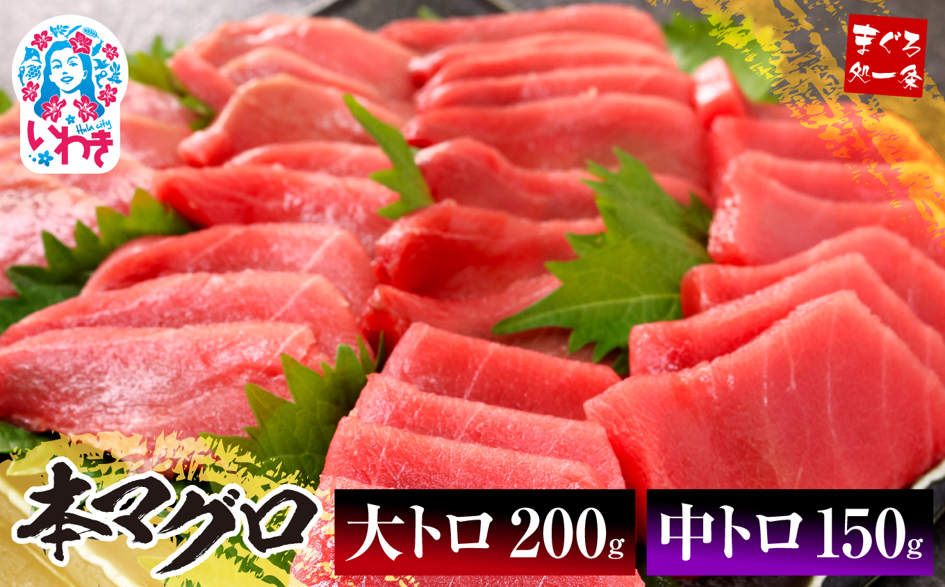 本マグロ大トロ中トロセット350g　解凍レシピ付　1サクずつ真空包装