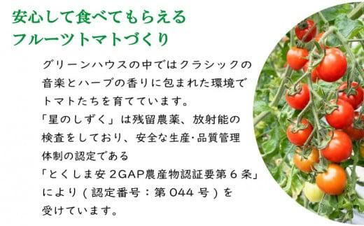 フルーツトマト トマト 定期便 3回 フルーツトマト 700g 野菜 やさい トマト 薄皮 星のしずく 完熟 高糖度 糖度 8度 果物 スイーツ ジュース パスタ スパゲティー ソース サラダ ドレッ