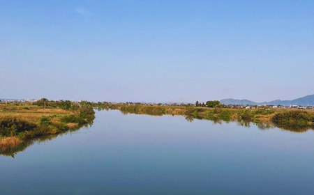 先行予約 和梨 豊水 約5kg 令和8年度 新潟県 三条市産 梨 [しなのがわジューシーファーム]【015S132】
