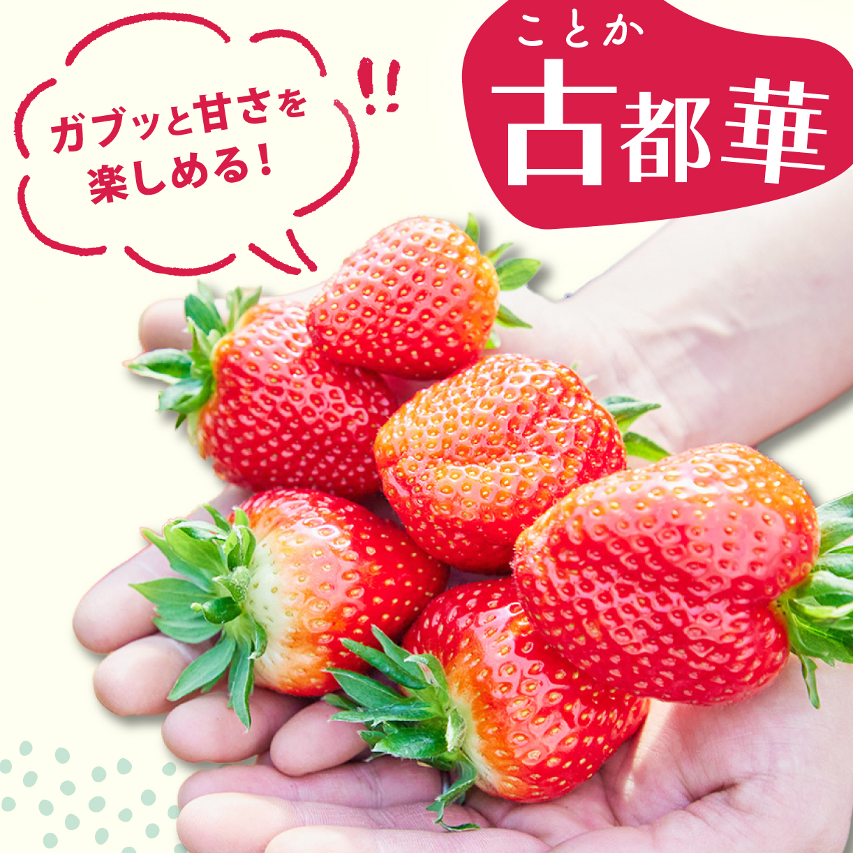 【予約販売開始！】厳選 大ちゃんの 古都華（２７０ｇ入×４パック）限定出荷 いちご 苺 奈良ブランド苺 イチゴ ブランド 古都華 大粒 苺 旬 産地 直送 フレッシュ フルーツ 果物 国産 ベリー 贈