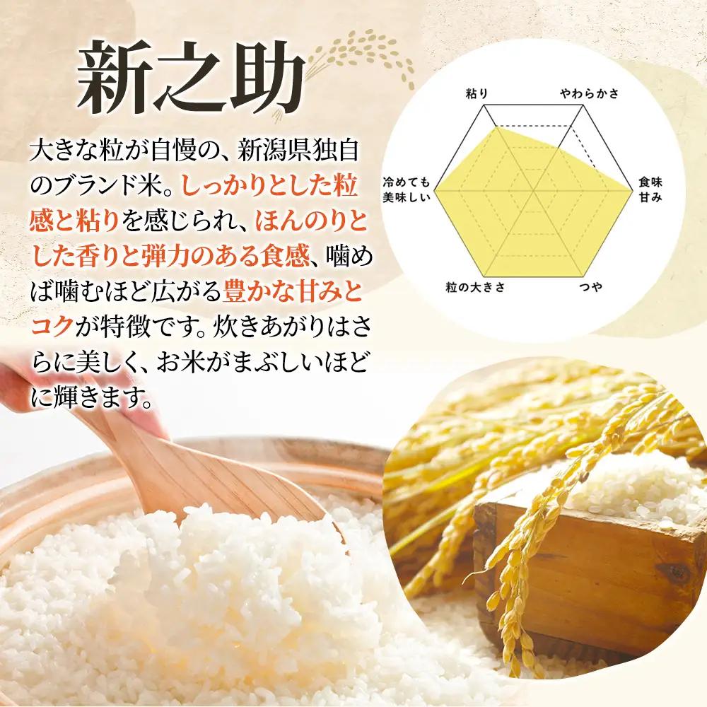 新米予約 新之助 5㎏ 6回 定期便 30㎏ 令和8年 新之助