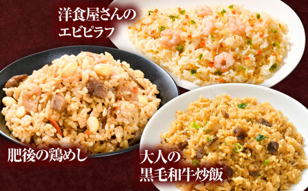 【全6回定期便】熊本県産 こだわり炒飯 バラエティセットA 計2.3kg(230g×10袋) 冷凍食品 炒飯[BHCS038]
