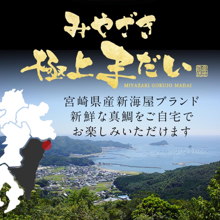 鰤屋金太郎【冷蔵】たいスキンレスロイン1000g N018-YZA749_1_イメージ3