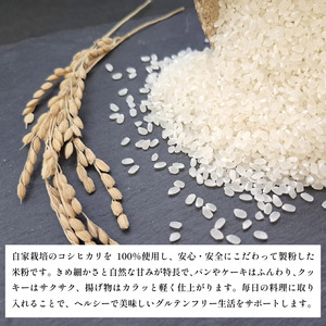 ＼ 米粉 ／【自家製 米粉】 2kg（500g×4） 国産 溝木さんの米粉 小松島 グルテンフリー 米 パン