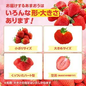 【2027年3月配送開始】福岡・博多名物ブランドいちご「あまおう」4パック 合計約600g ＜配送不可：北海道・沖縄・離島＞ 072-341