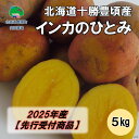 【ふるさと納税】【2025年産】（先行受付）北海道十勝豊頃産 インカのひとみ5kg［安田農場］"北海道 十勝 豊頃町" 先行予約 予約 特産 農家直送 数量限定 送料無料 いんかのひとみ インカ