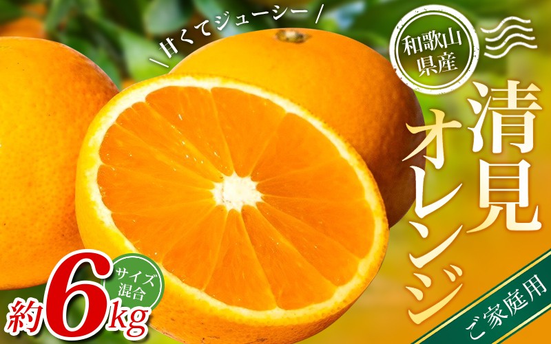 
            【ご家庭用】手選別 清見オレンジ 約6kg 和歌山県産 2S~2Lサイズ混合※2026年2月上旬～5月中旬頃に順次発送【mrmt038A】
          