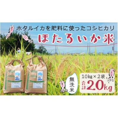ふるさと納税 滑川市 【ほたるいか米】無洗米　20kg(10kg×2袋)