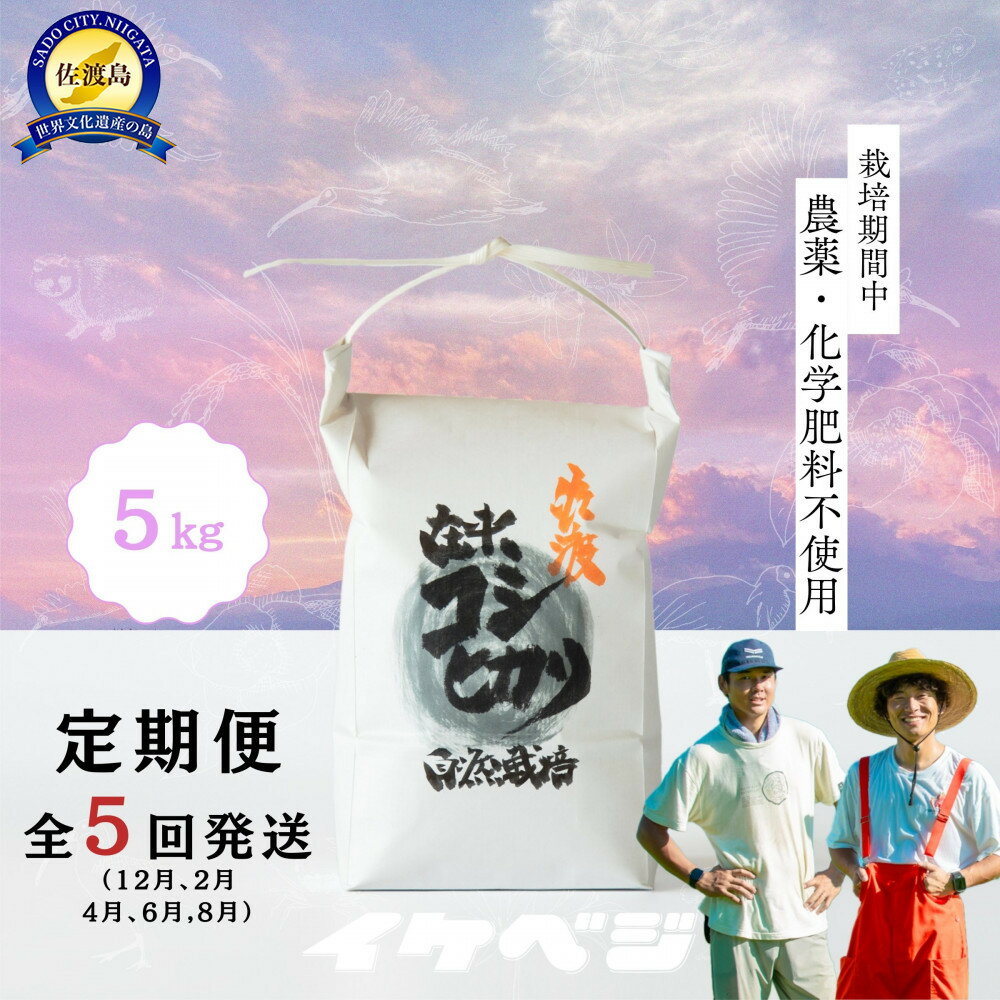 【ふるさと納税】【定期便】新潟県佐渡産 令和7年産 【在来コシヒカリ】 玄米 5kg×全5回 | 佐渡市 新潟県佐渡産 ご飯 おいしい お米 特産品 玄米 美味しい お料理 健康 食品 お取り寄せ 通販 ふるさと納税 人気 おすすめ 送料無料