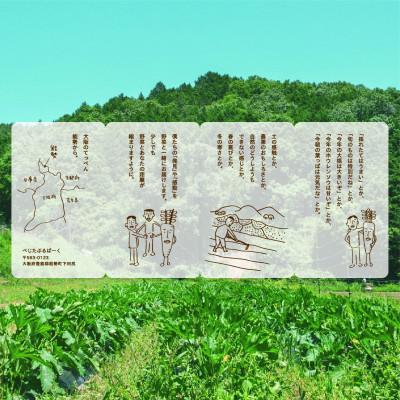 ふるさと納税 能勢町 【発送月固定定期便】『大阪能勢産』べじたぶるぱーくの新鮮野菜詰合せ　Mセット7〜8種類　偶数月全6回 |  | 03