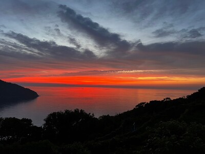 【先行予約】【家庭用】清見オレンジ 約5kg | 柑橘 みかん 果物 フルーツ 愛媛県産 農家直送　※離島への配送不可　※2026年3月中旬より順次発送予定 IKTAU010