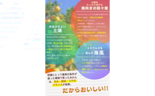 【2025年11月発送予約分】＼光センサー選別／ 【農家直送】【家庭用】こだわりの有田みかん 約6kg＋250g(傷み補償分) 先行予約 有機質肥料100% サイズ混合 【11月発送】みかん ミカン 