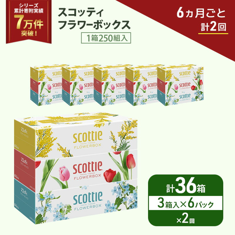 【ふるさと納税】 定期便 ティッシュ 3箱×6P (6ヶ月ごと計2回) スコッティ フラワーボックス 日本製 長持ち 日用品 生活用品 必需品 消耗品 便利 楽 コンパクト 防災 備蓄 備え 安心 送料無料 累計寄附実績7万9千件超 宮城県 岩沼市