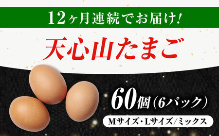 【全12回定期便】天心山 たまご 60個（10個入り×6パック） 卵 たまご 高級 食品 たまごかけご飯 卵かけご飯 卵焼き 生卵 濃厚 ケーキ お菓子 づくり ランキング 上位 人気 おすすめ 定期