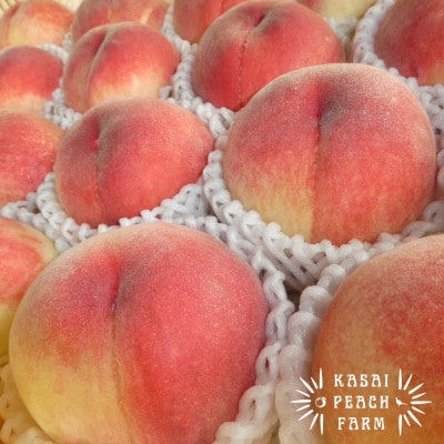 厳選朝採り桃 山梨の笠井桃園の桃 3kg【配送不可地域：離島】