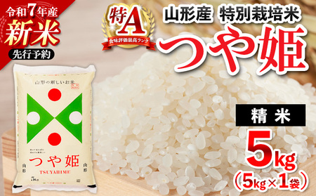 令和7年産 山形産 特別栽培米 つや姫(白米) 5kg【2月発送】 FY25-345